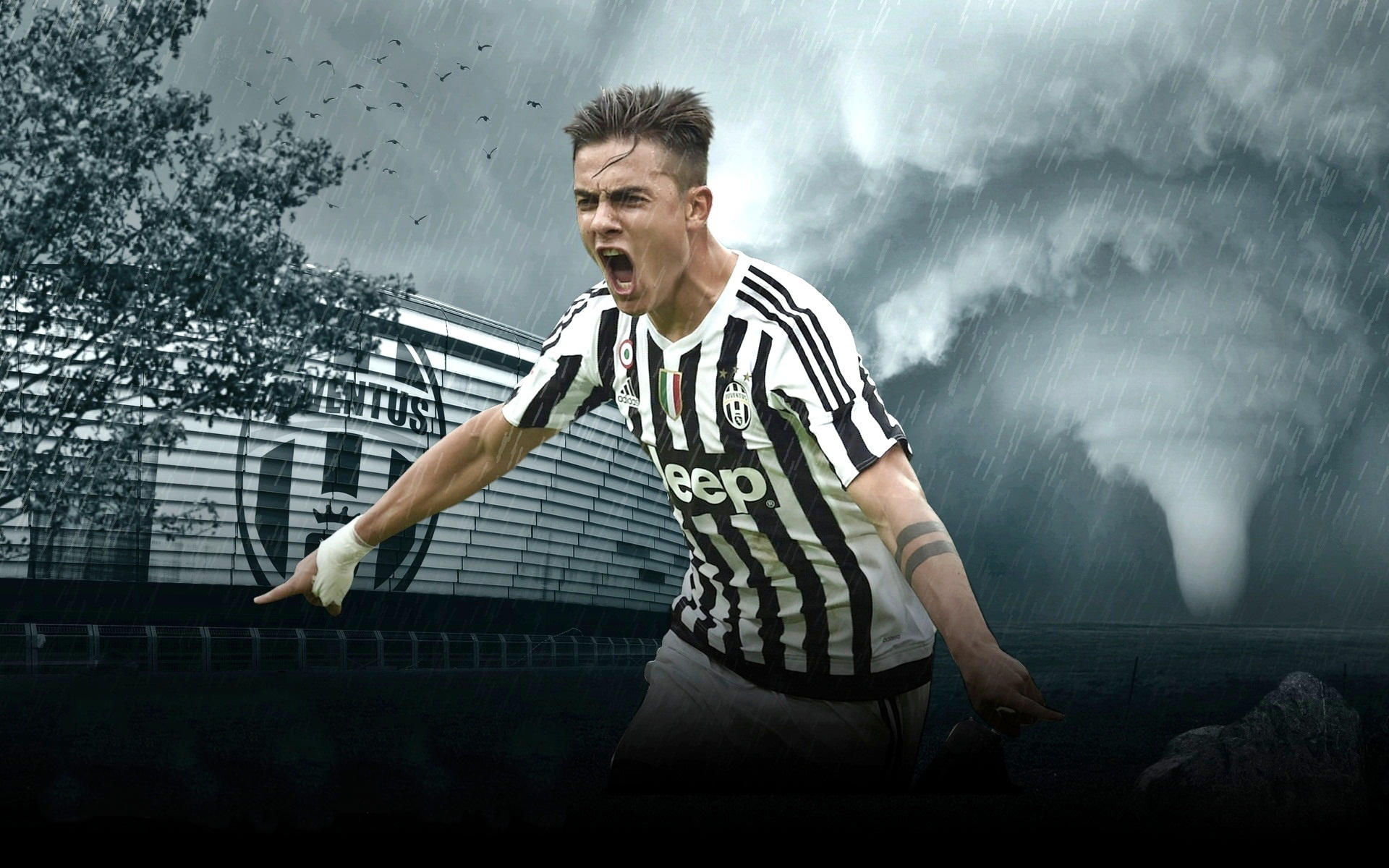 帮助粉丝完 帮助粉丝完